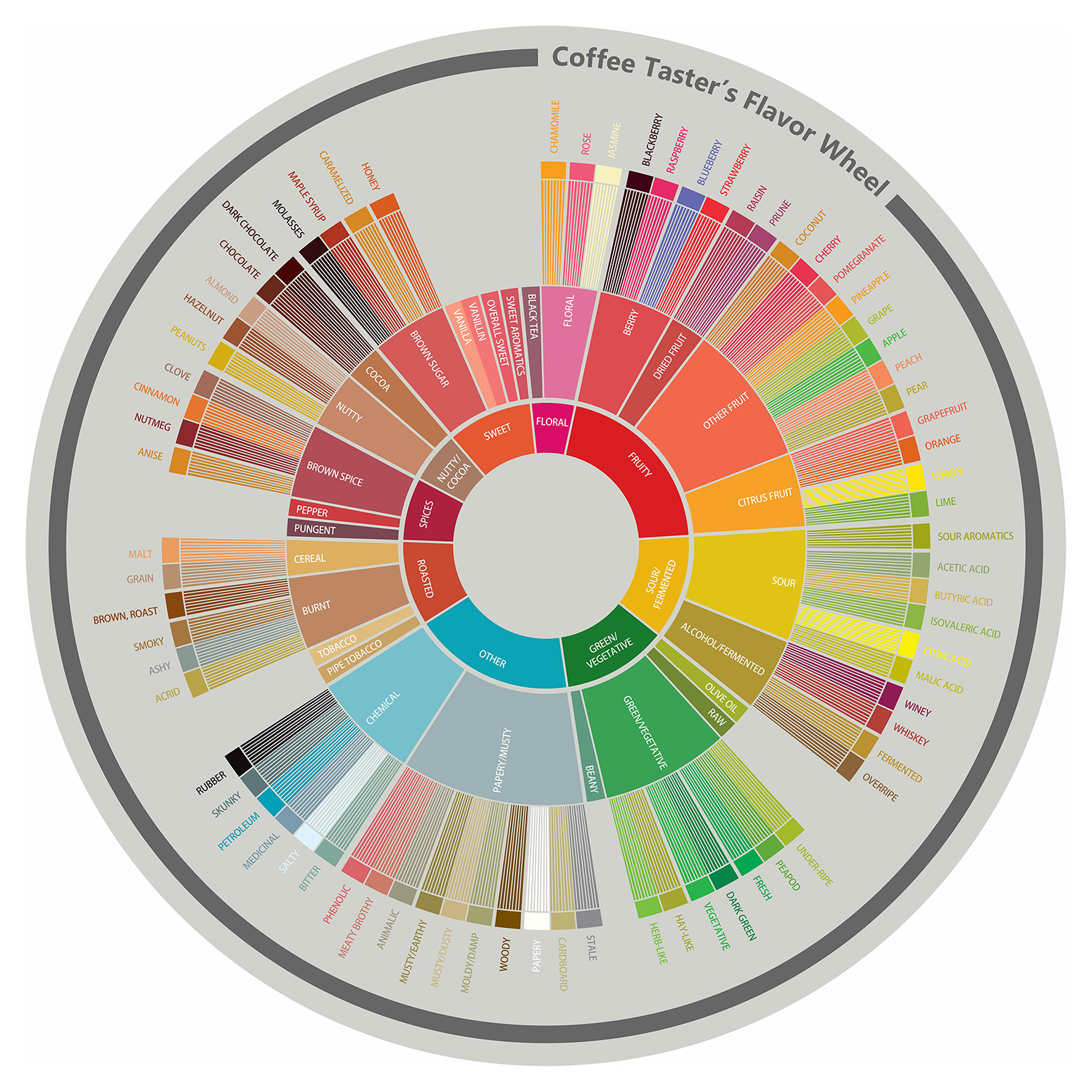 Coffee Taster's Flavor Wheel